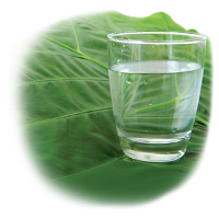 drinking water system 